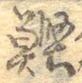 位置 確認된 鰹