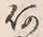 文字何