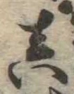 㐌定位𣗓檊