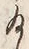 「給」字