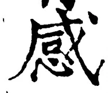 Character 感