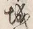 “城”字