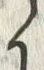Chữ 沖