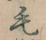 位置定マレル毛