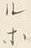 “ル”字