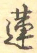 Đã định vị 蓮