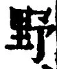 Character 野