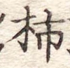 位置定マレル柿