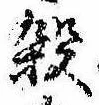 位置 確認된 殺