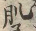 位置 確認된 肌