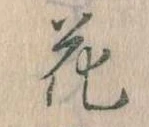位置 確認된 花