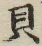 文字貝