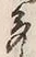 「多」字