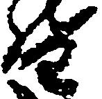 督 위치 확인됨
