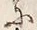 Chữ 打
