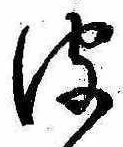 皮の位置