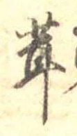 位置定マレル茸