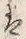 𡨸瓢