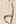 𡨸酌