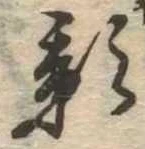 位置 確認된 影