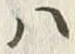 字吟