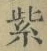 文字紫