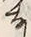 𡨸者