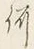 文字何