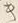 Character ハ