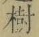 「樹」字