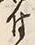 文字 付
