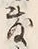 文字敷
