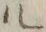 字耕