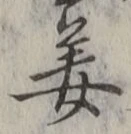 文字姜
