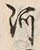「河」字