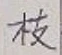 文字 枝