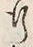 文字 行