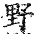 Character 野