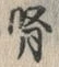 文字腎