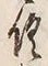 𡨸倶