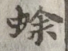 蜍の位置