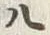 “八”字