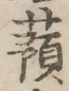 已定位蕷
