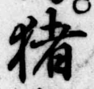 已定位猪