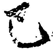 已定位巳