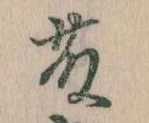 已定位藤