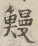 已定位鰻