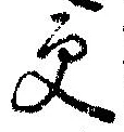 已定位更