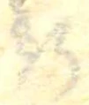 位置 確認된 斯