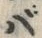 字バ